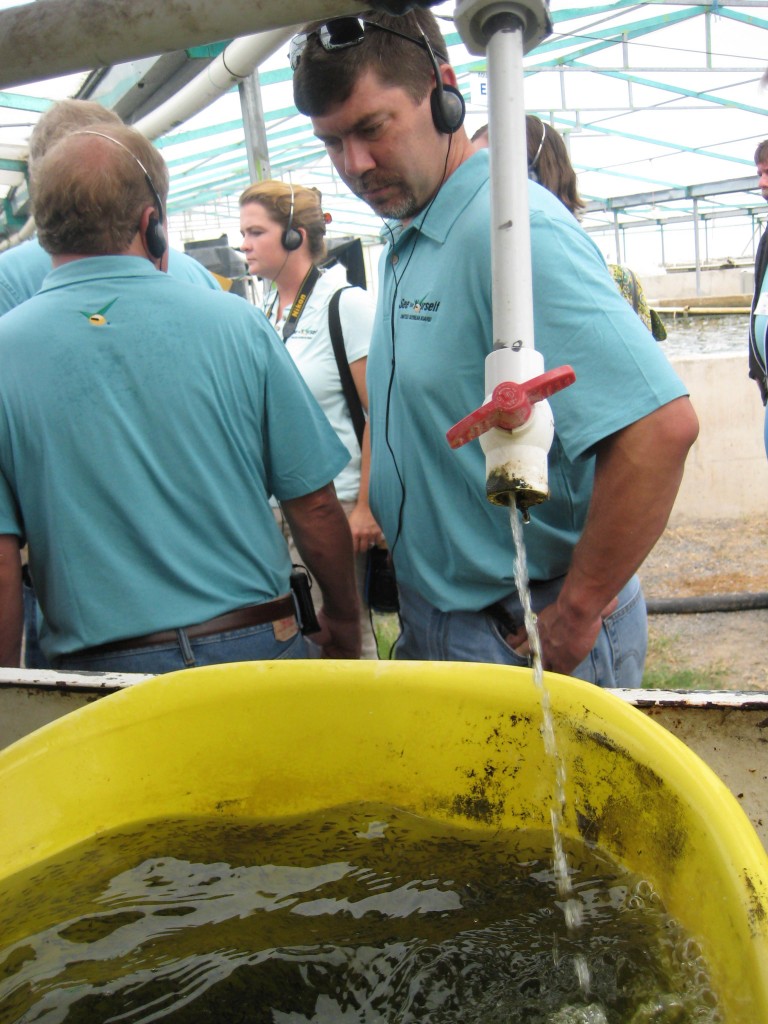 SFY2011